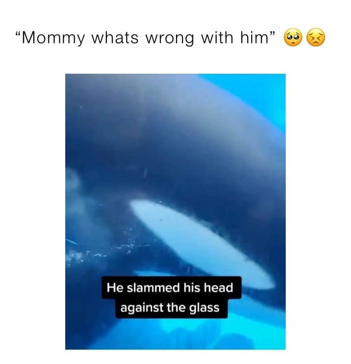 Post 1 by We Clean Beaches on Instagram (video)