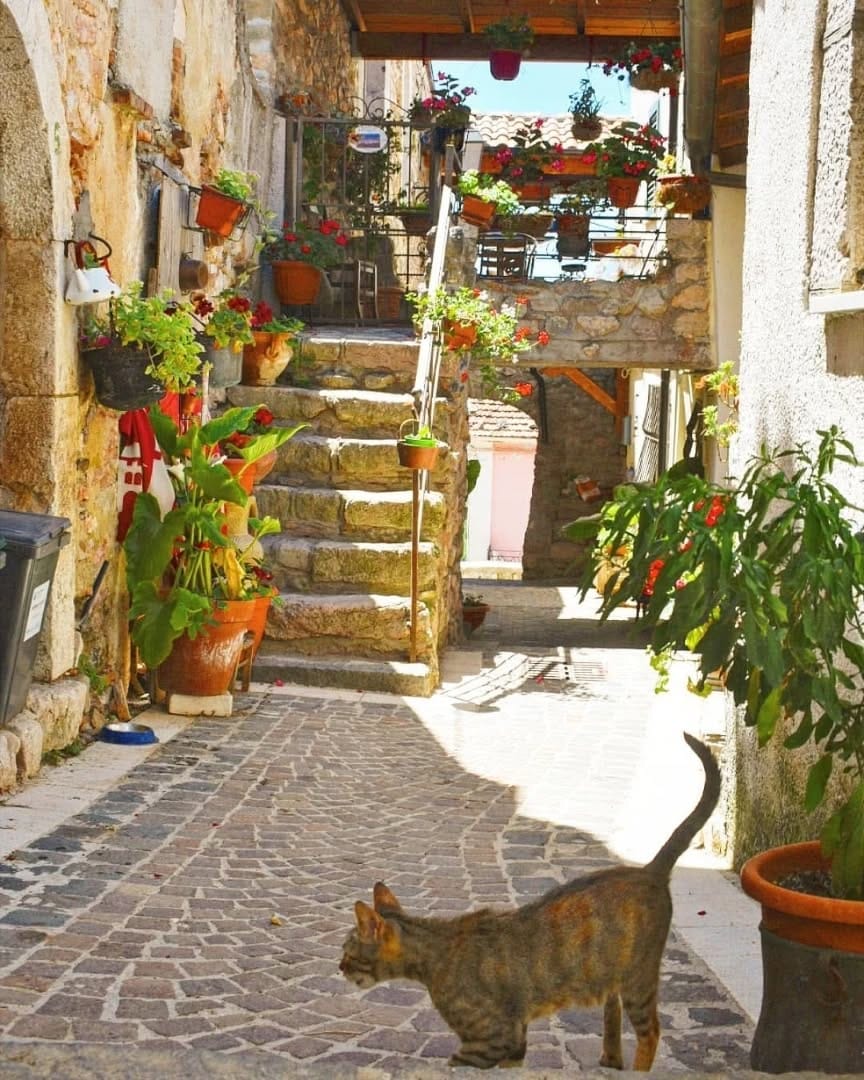 Post 4 by Italia on Instagram (image)