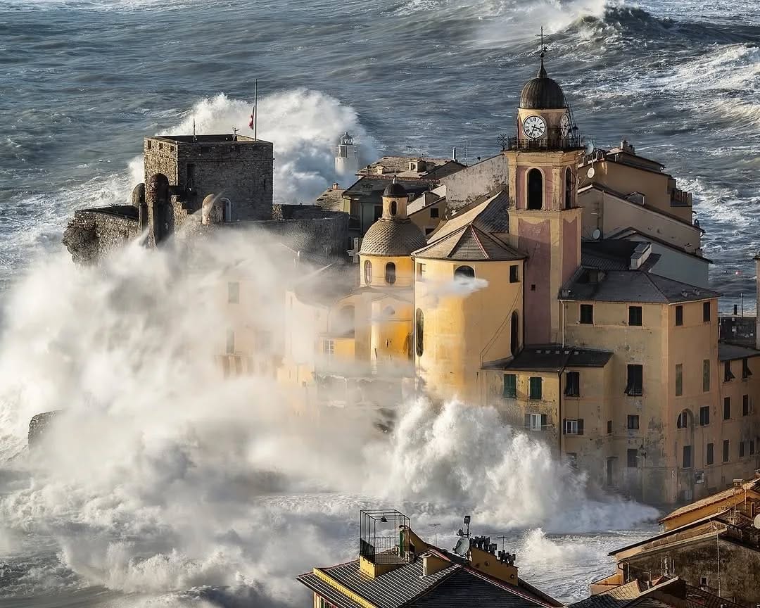 Post 8 by Italia on Instagram (image)