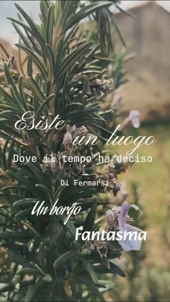 Post 9 by Italia on Instagram (video)