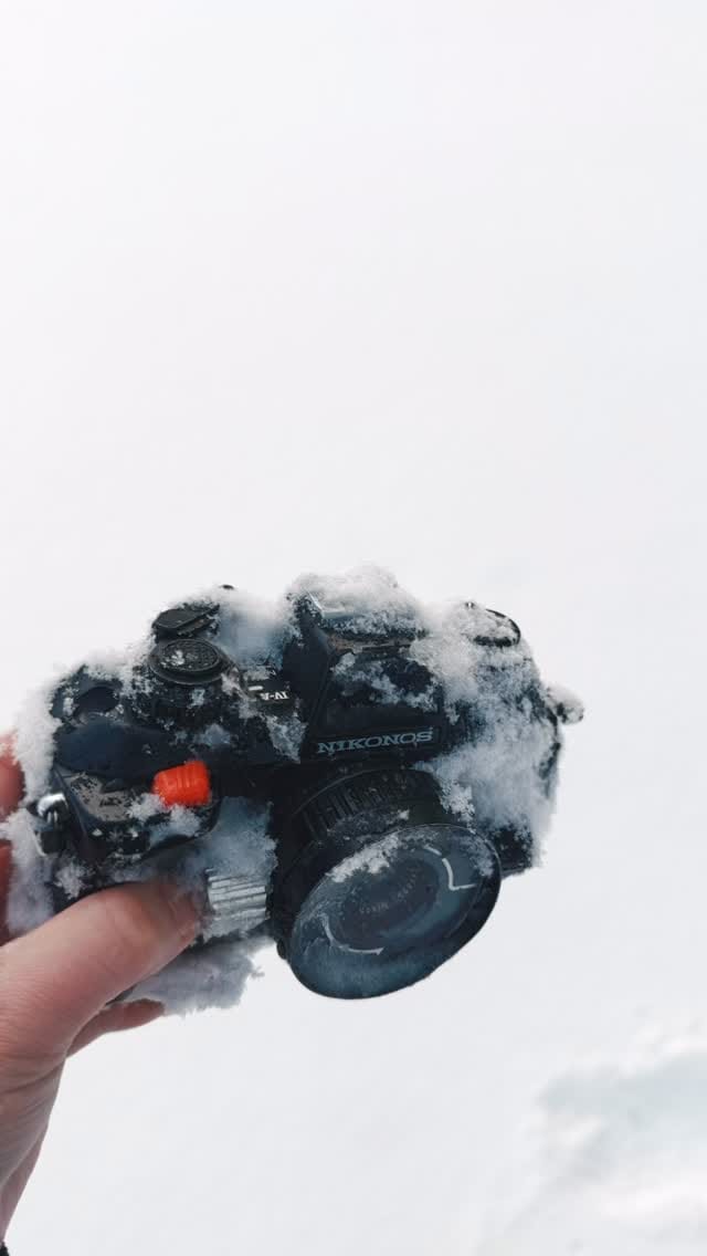 Post 3 by Film Photographer + on Instagram (video)