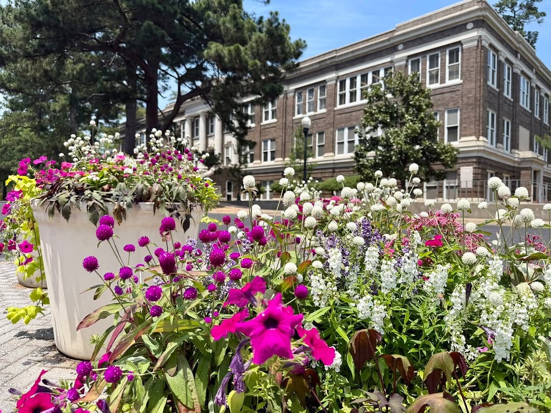Post 3 by SFA Alumni Association on Instagram (image)