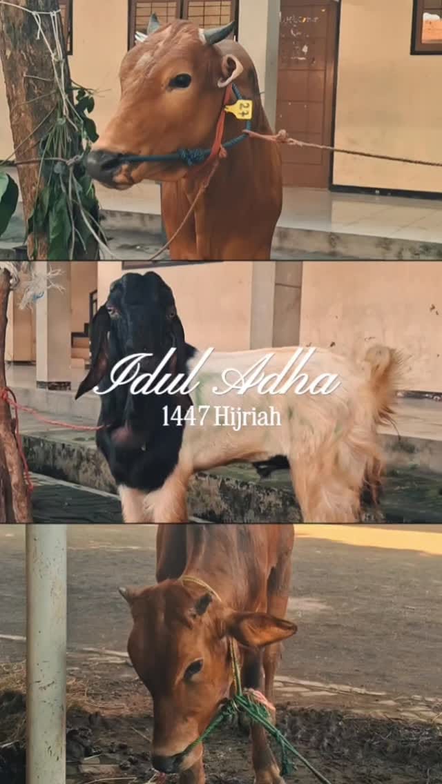 Post 3 by SMK NEGERI 1 SURABAYA on Instagram (video)