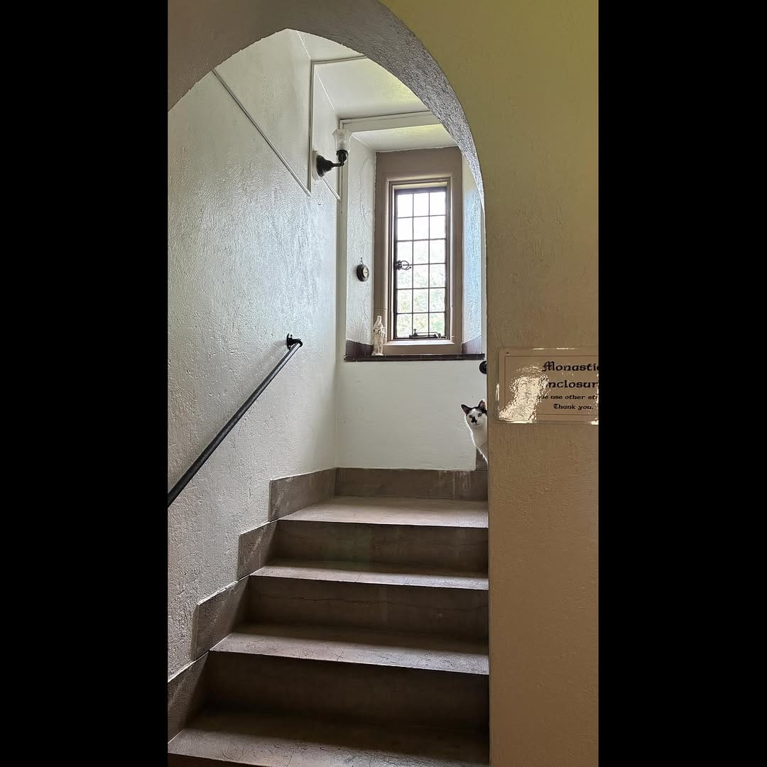 Post 1 by Claudette Monica Powell on Instagram (image)