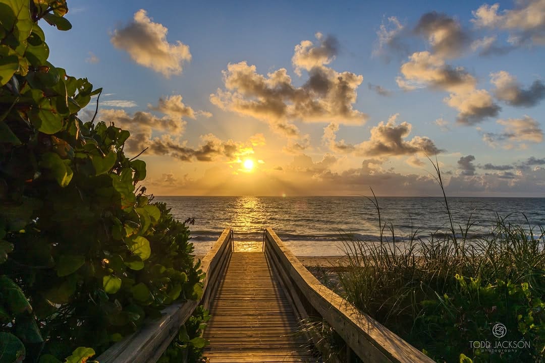 Post 2 by Todd Jackson on Instagram (image)