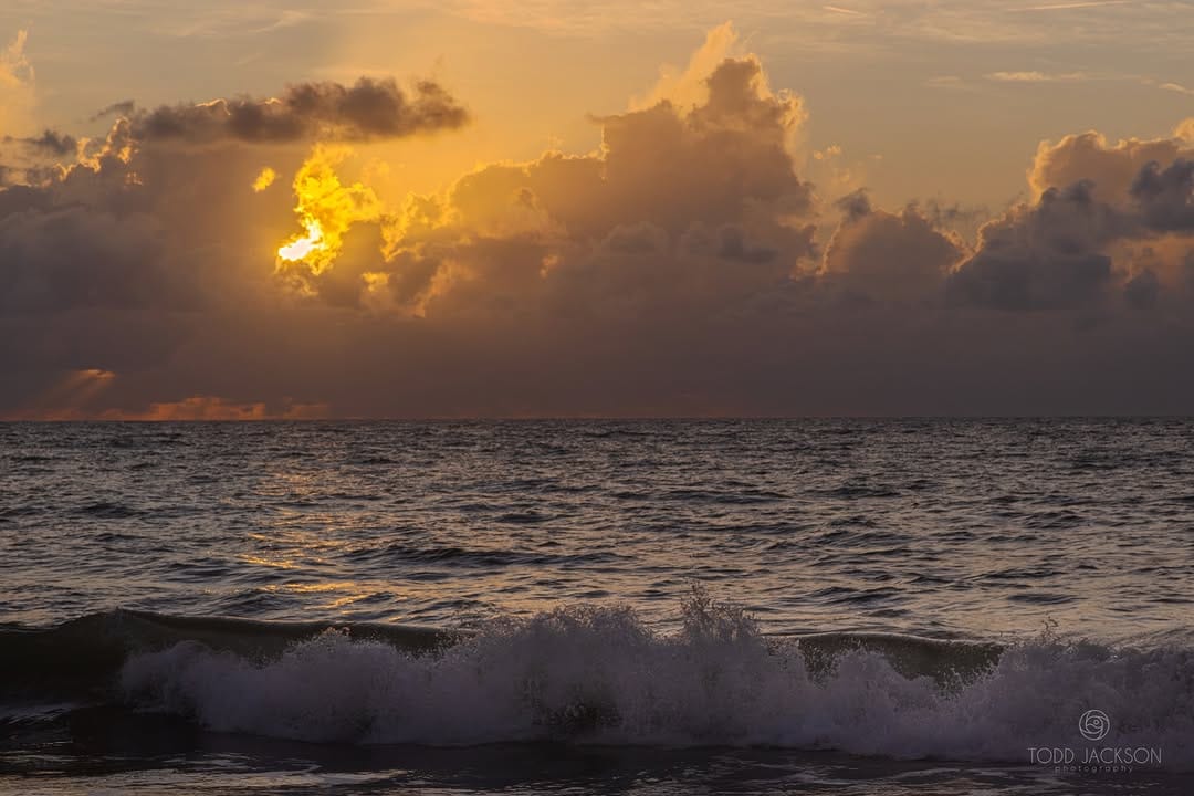 Post 9 by Todd Jackson on Instagram (image)