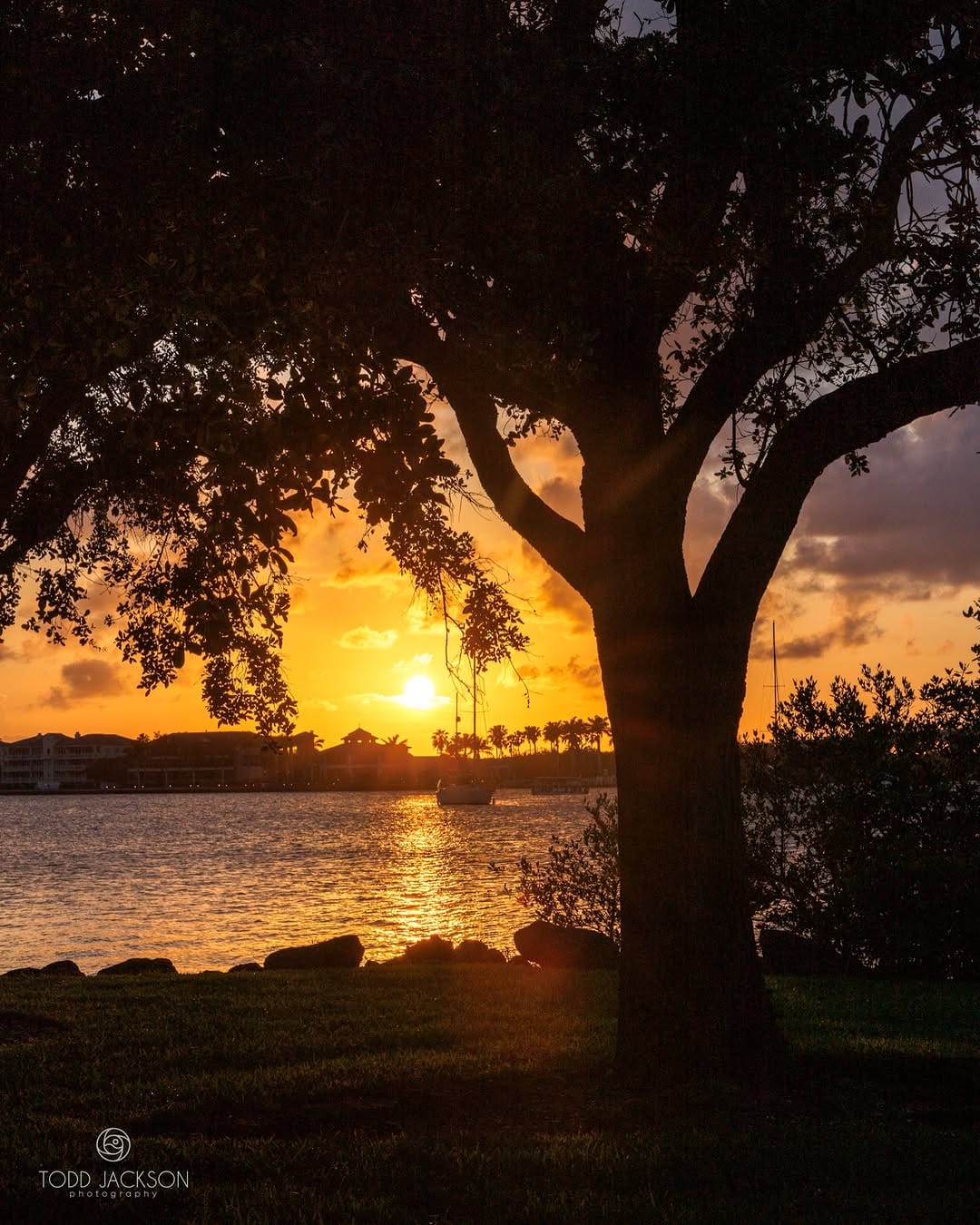 Post 10 by Todd Jackson on Instagram (image)