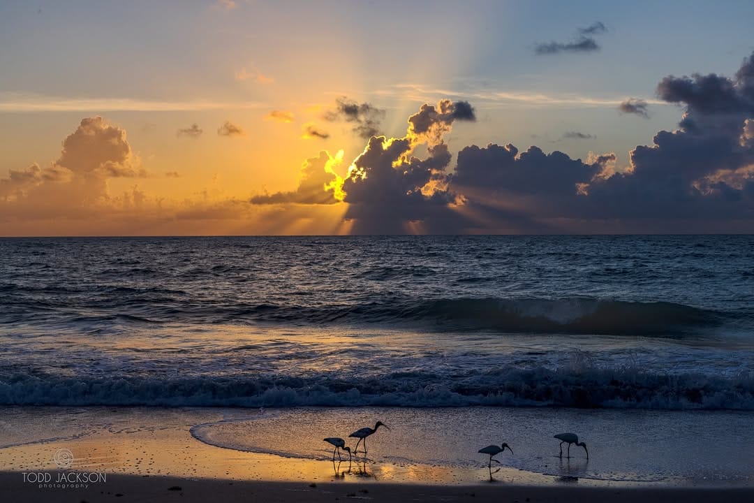 Post 6 by Todd Jackson on Instagram (image)
