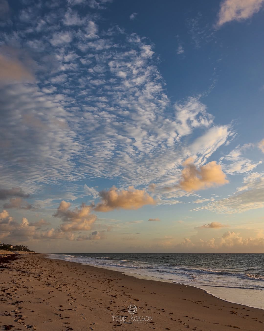 Post 5 by Todd Jackson on Instagram (image)