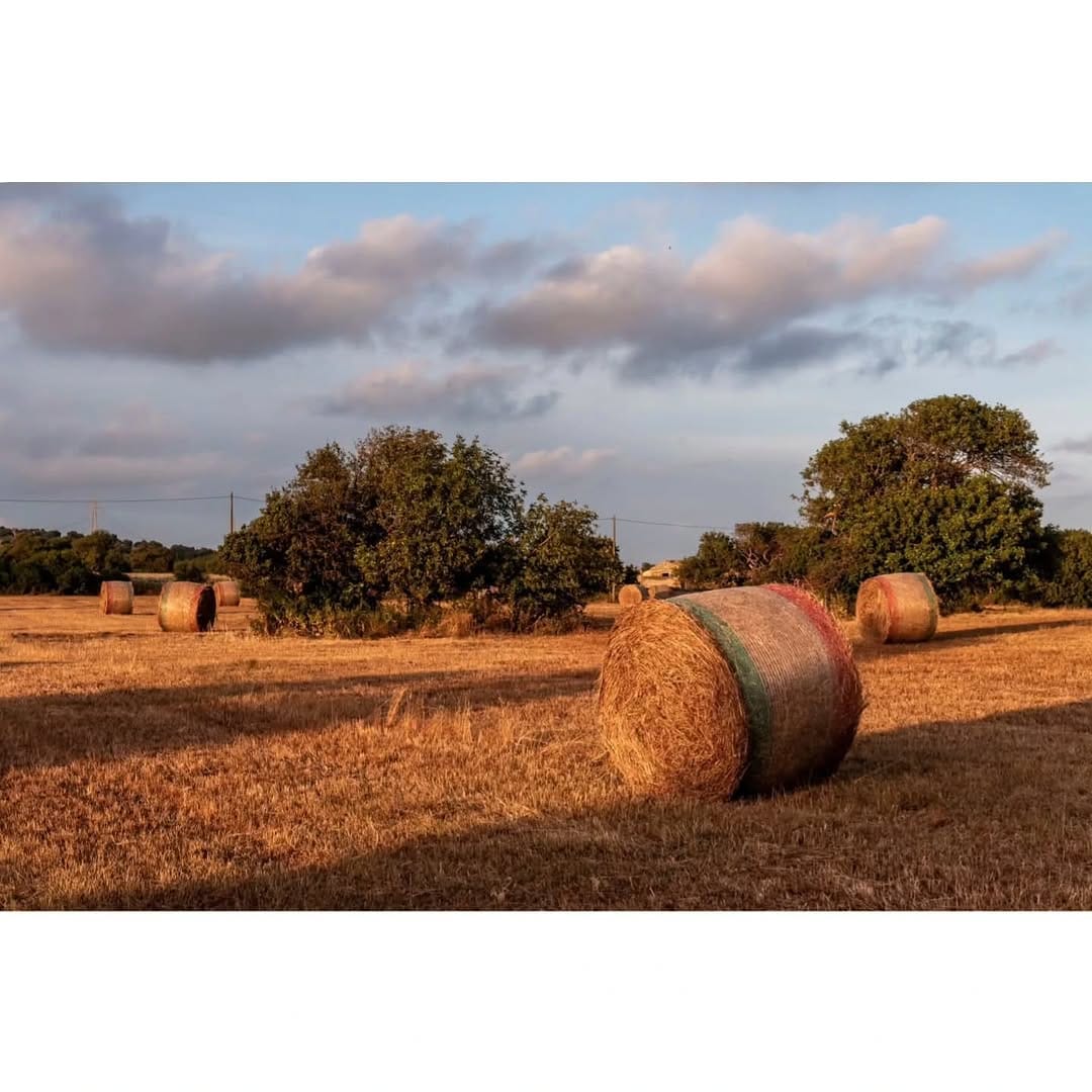 Post 6 by PHOTOGROUP RAGUSA on Instagram (carousel)