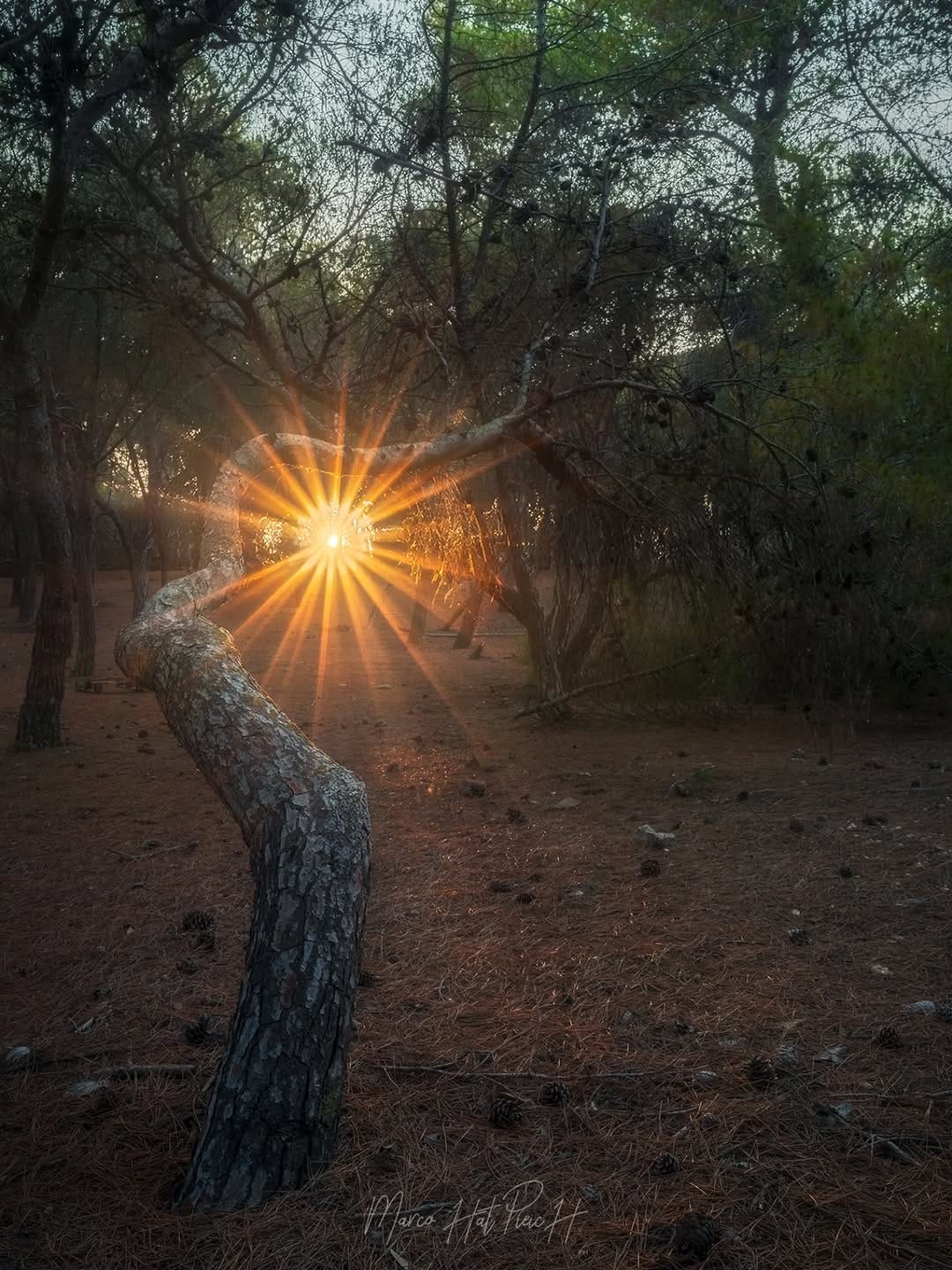 Post 1 by PHOTOGROUP RAGUSA on Instagram (image)