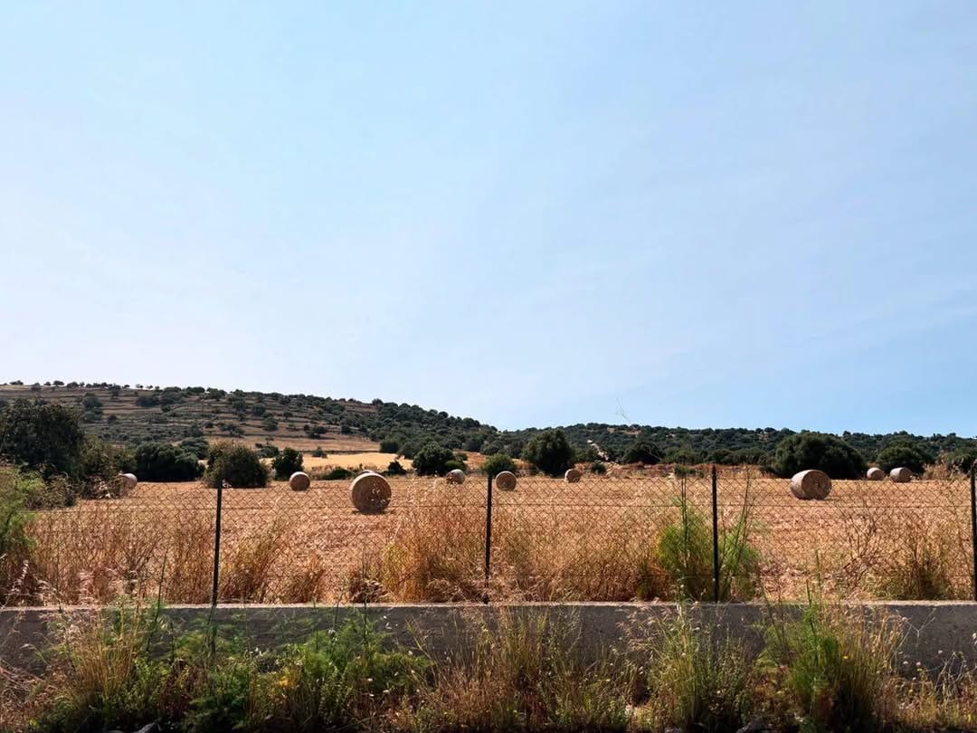 Post 7 by PHOTOGROUP RAGUSA on Instagram (image)