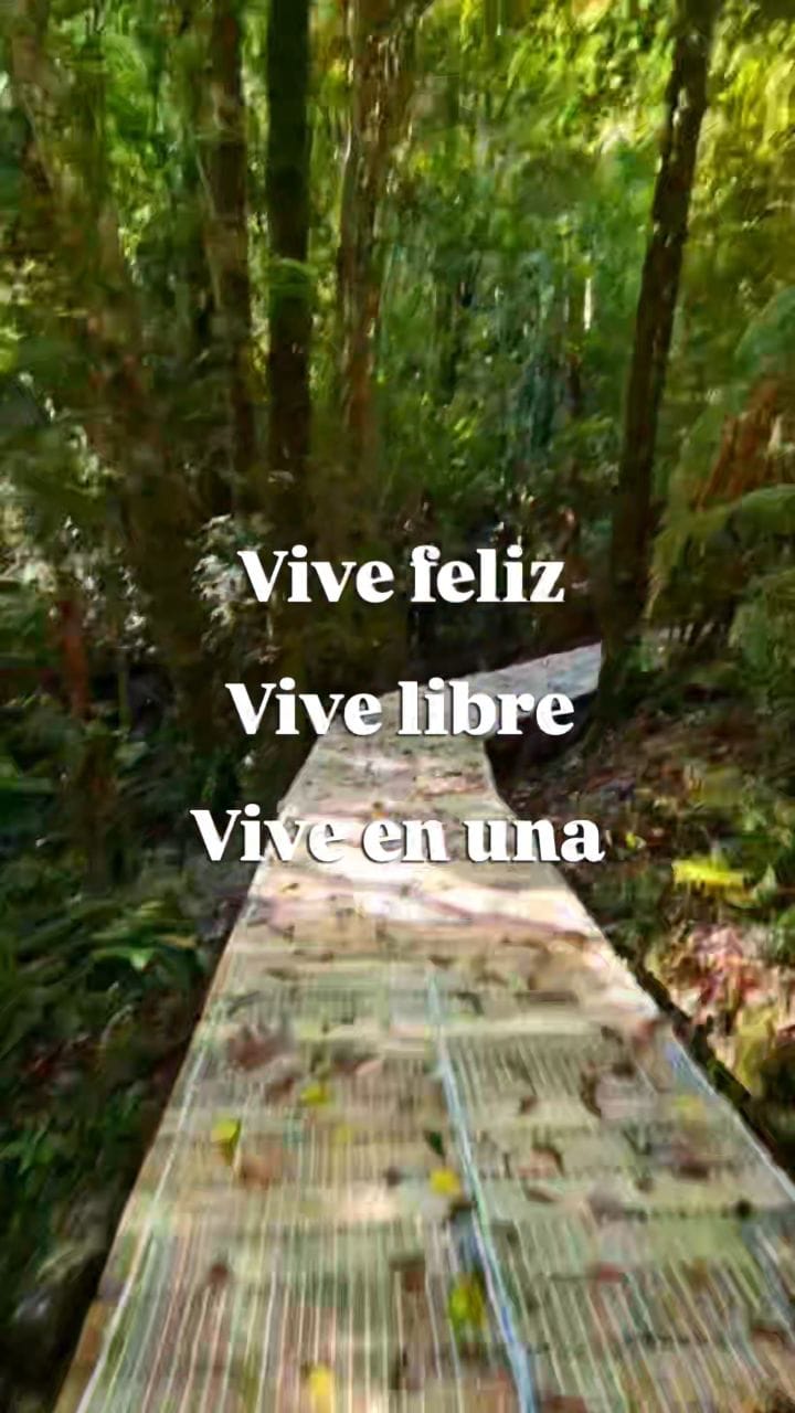 Post 10 by ZeroCabin on Instagram (video)