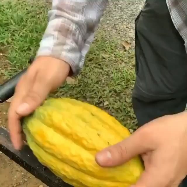 Post 3 by Delicious Life In Georgia on Instagram (video)