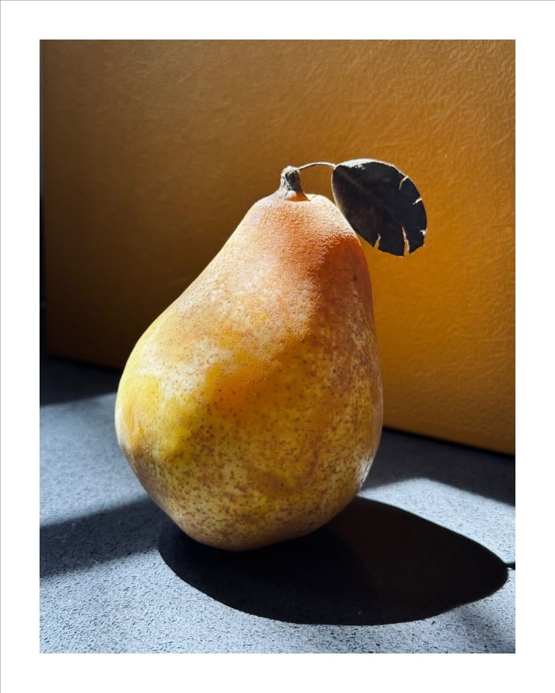 Post 2 by Christine Han - Photographer on Instagram (image)