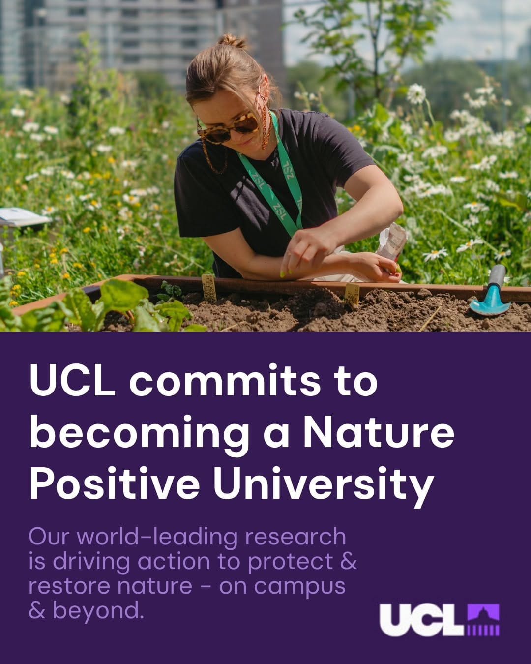 Post 2 by Sustainable UCL on Instagram (image)