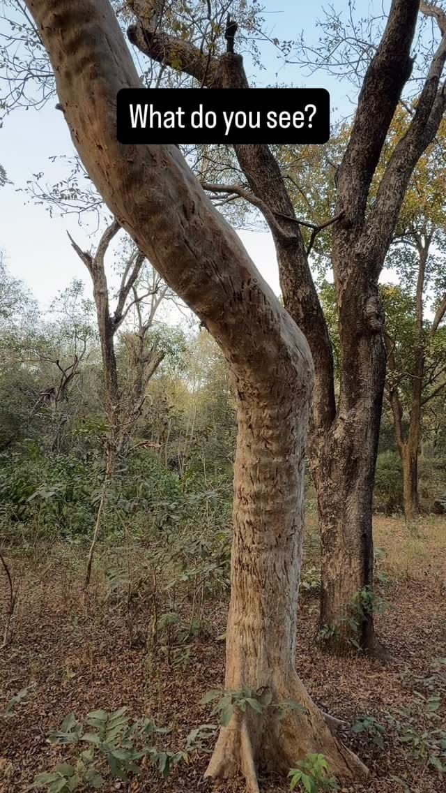 Post 8 by VijayKarthick Senthilvel on Instagram (video)