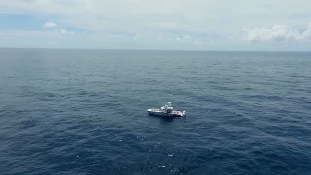 Post 5 by Vice Versa Fishing Charters on Instagram (video)