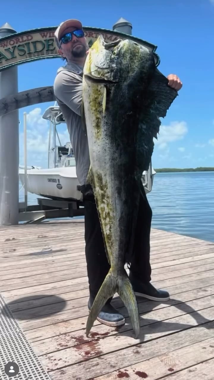 Post 6 by Vice Versa Fishing Charters on Instagram (video)