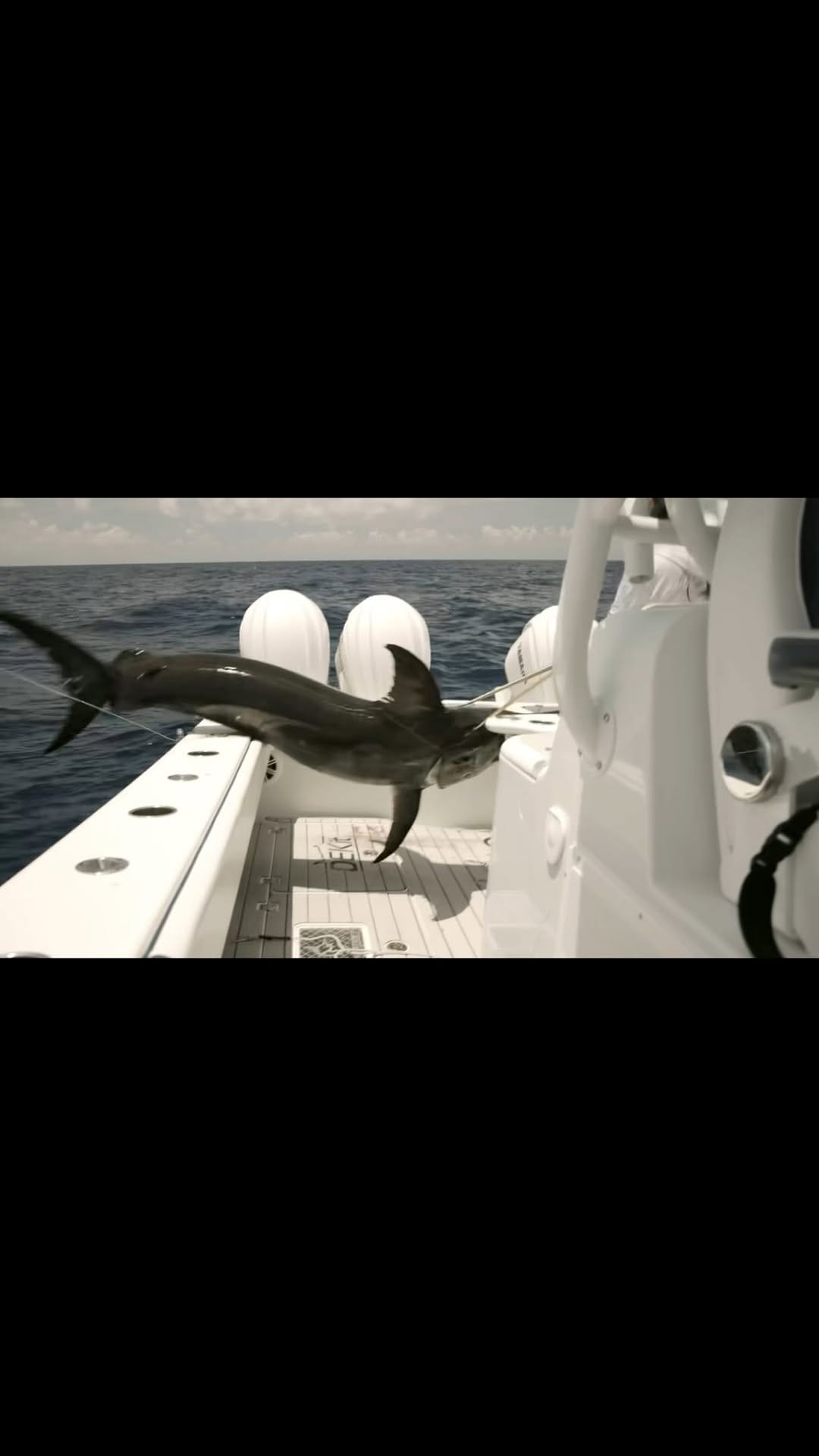 Post 4 by Vice Versa Fishing Charters on Instagram (video)