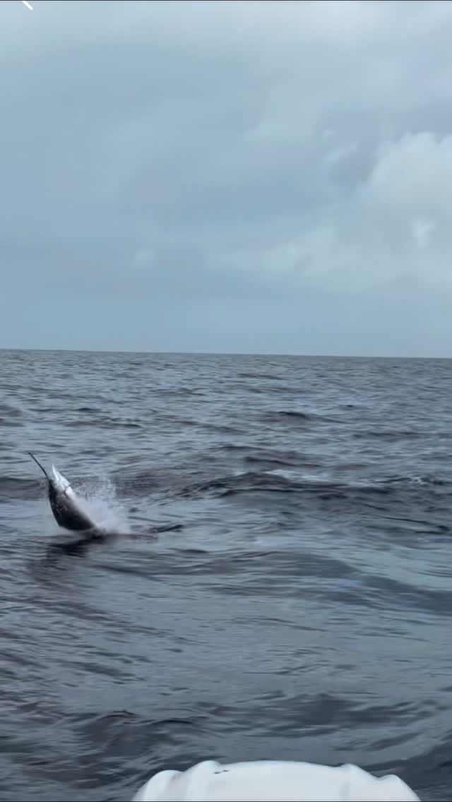Post 7 by Vice Versa Fishing Charters on Instagram (video)