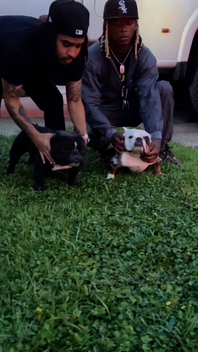 Post 4 by Welcome To The Dog Pound!🐶⭐️ on Instagram (video)