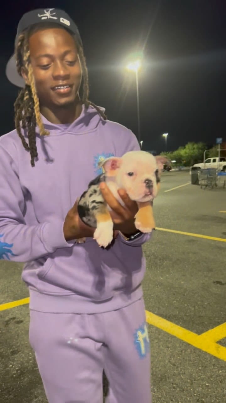 Post 6 by Welcome To The Dog Pound!🐶⭐️ on Instagram (video)
