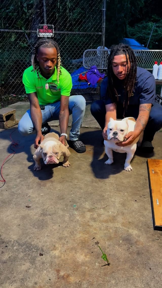 Post 1 by Welcome To The Dog Pound!🐶⭐️ on Instagram (video)