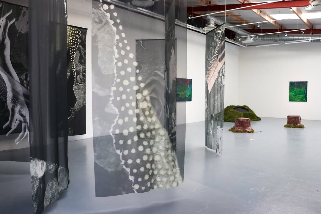 Post 2 by Burren College of Art on Instagram (carousel)
