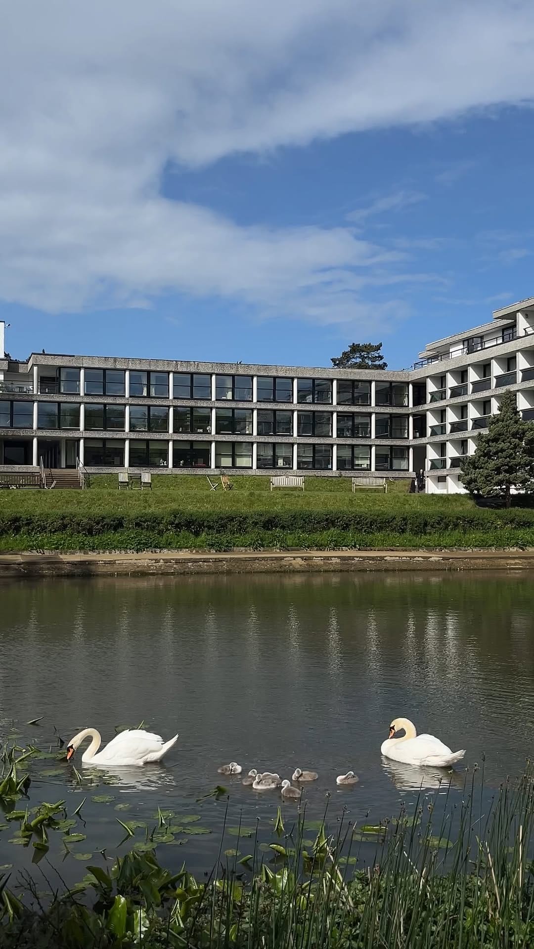 Post 2 by Wolfson College, Oxford on Instagram (video)
