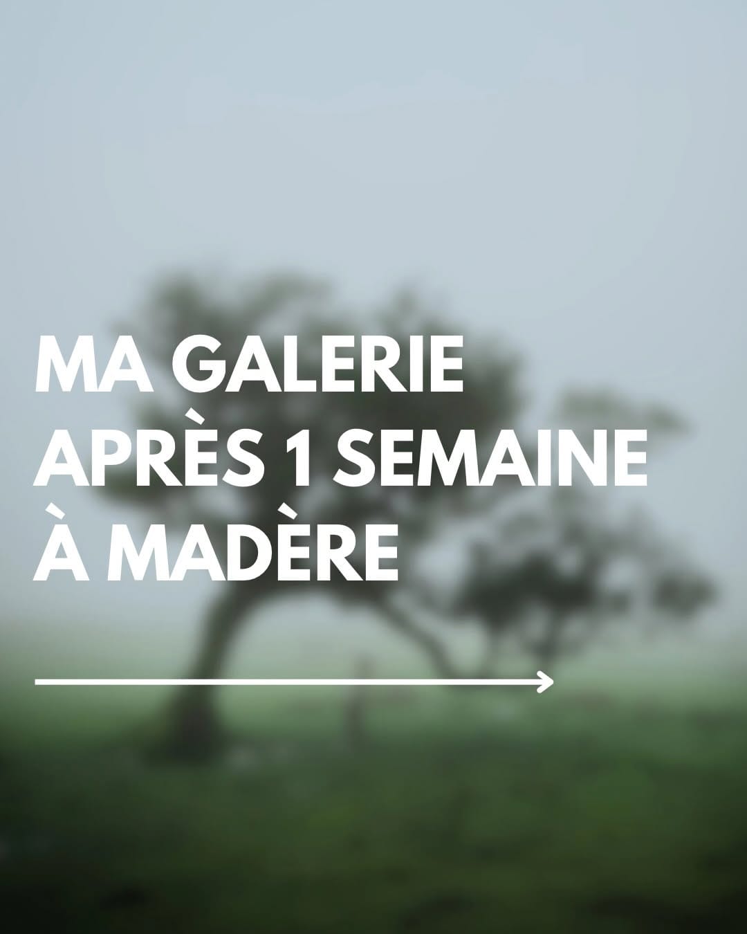 Post 5 by Léo Gilmant | Photographe dans le Nord-Pas-de-Calais on Instagram (carousel)