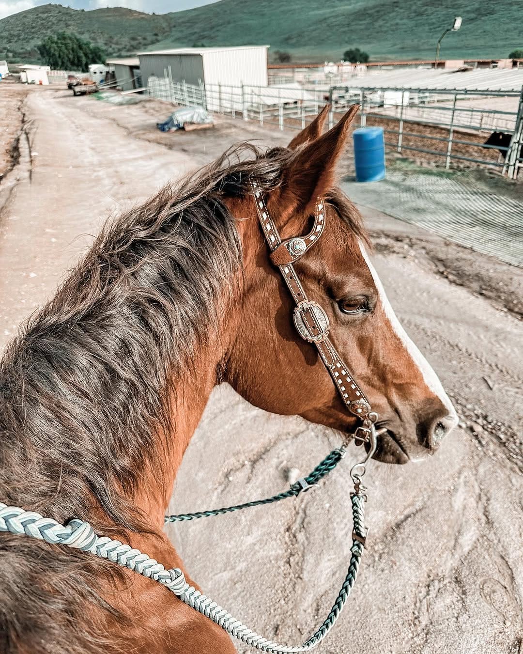 Post 4 by Courtney Reihs on Instagram (image)