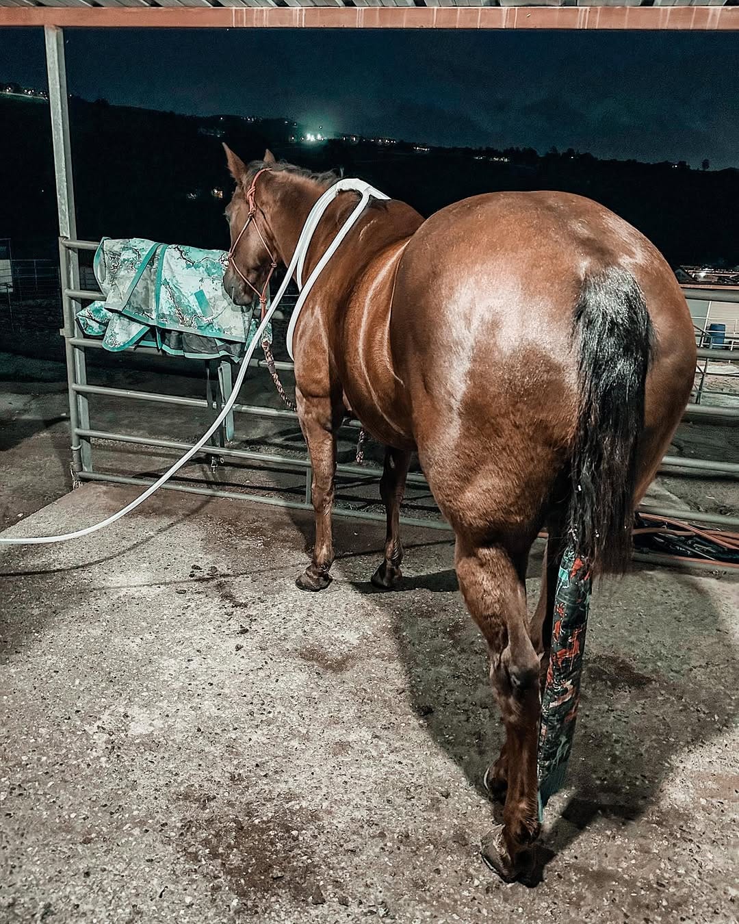 Post 3 by Courtney Reihs on Instagram (image)