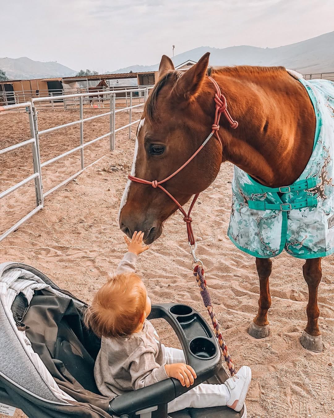 Post 10 by Courtney Reihs on Instagram (image)