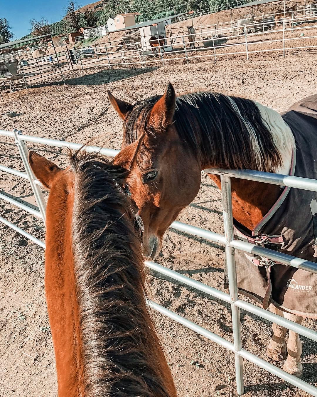 Post 7 by Courtney Reihs on Instagram (image)