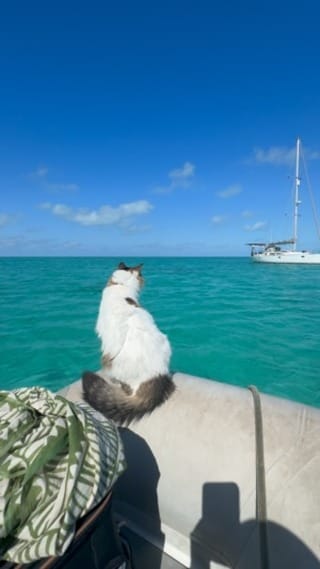 Post 10 by Janaye & Jason | Sailing Travel Couple on Instagram (video)