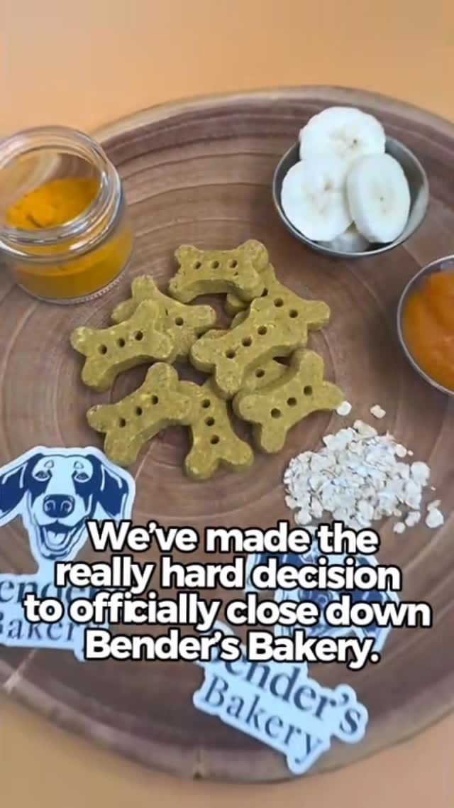 Post 2 by Holistic & Integrative Veterinary Medicine & Nutrition on Instagram (video)