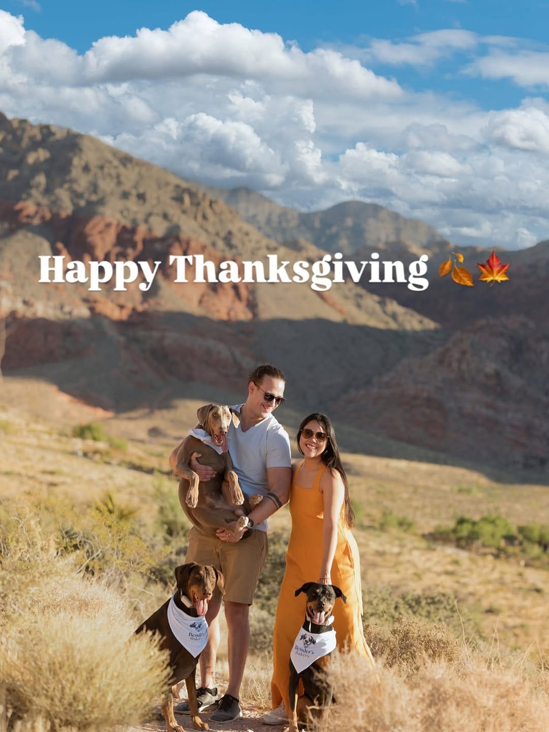 Post 5 by Holistic & Integrative Veterinary Medicine & Nutrition on Instagram (image)