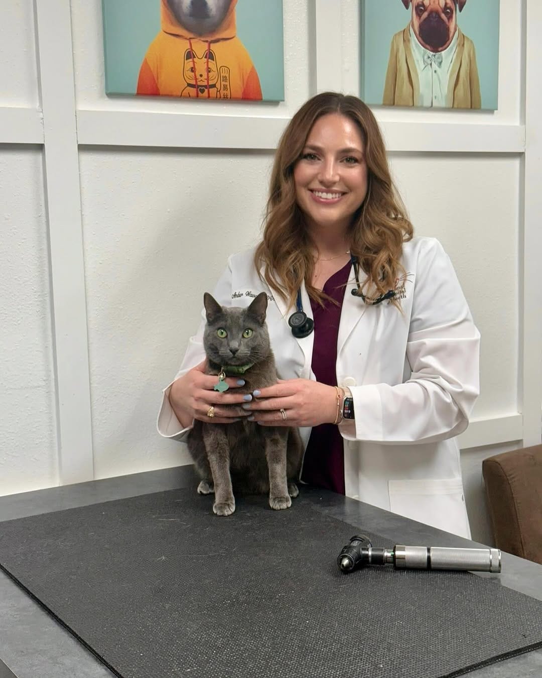 Post 9 by Dr. George  |  CFO (Chief Feline Officer) 🐱 on Instagram (carousel)