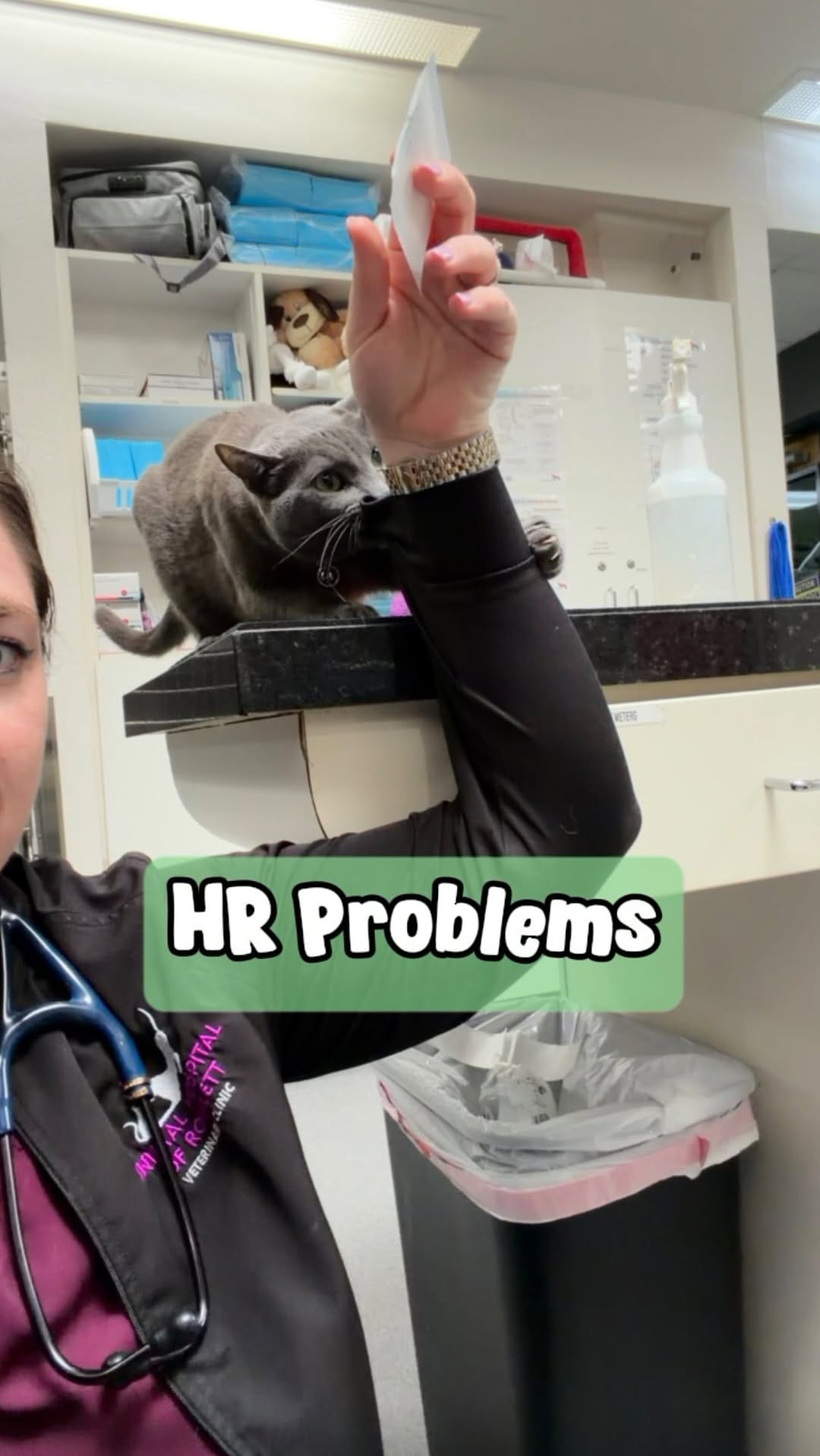 Post 6 by Dr. George  |  CFO (Chief Feline Officer) 🐱 on Instagram (video)