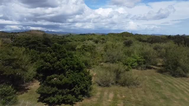 Post 2 by Casa Las Piñas on Instagram (video)