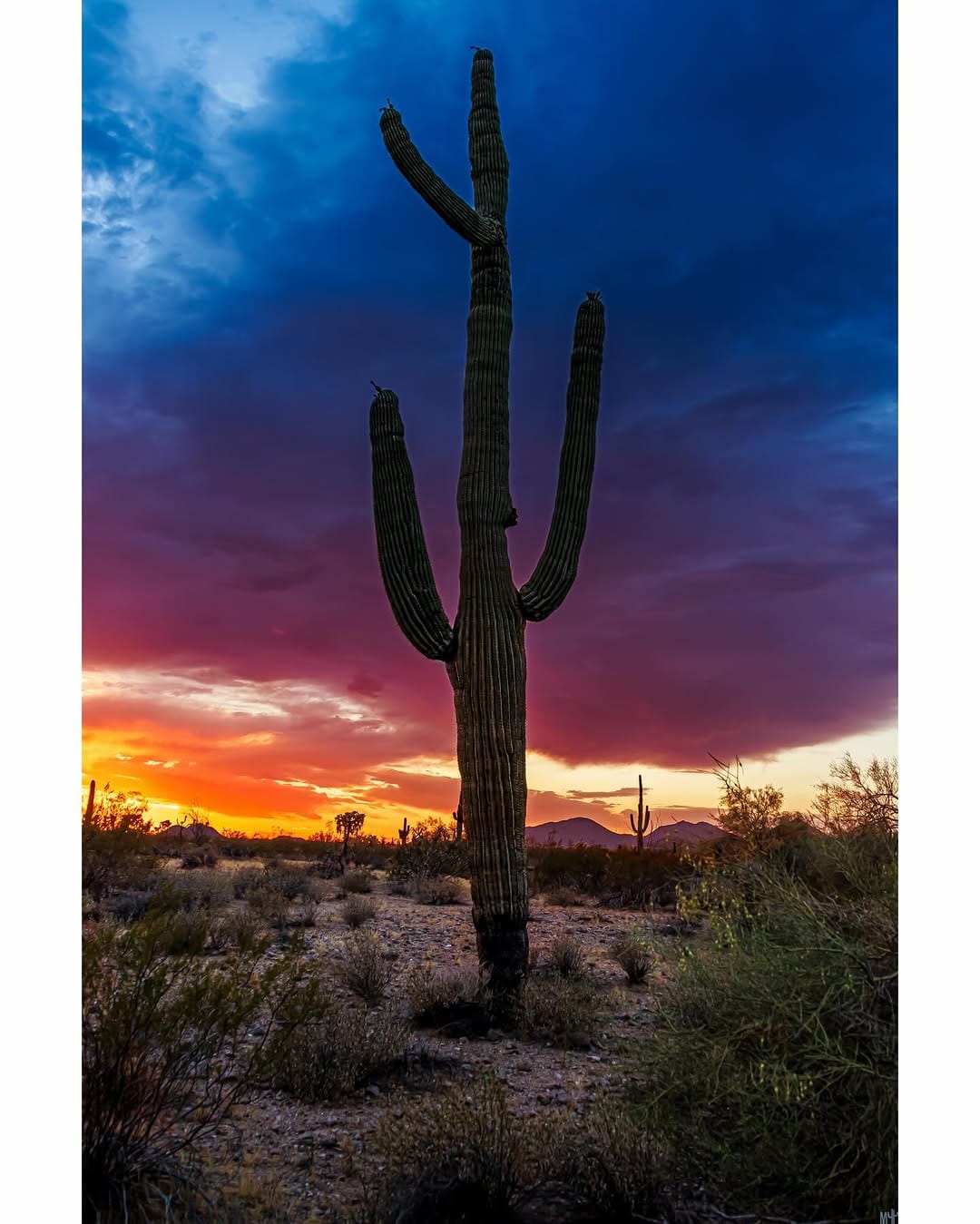 Post 3 by Mike Woods🌲 on Instagram (image)