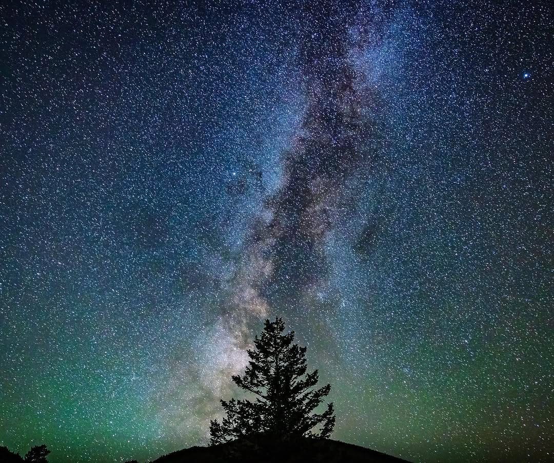 Post 10 by Taylor Stalfort | Seattle Photographer on Instagram (image)