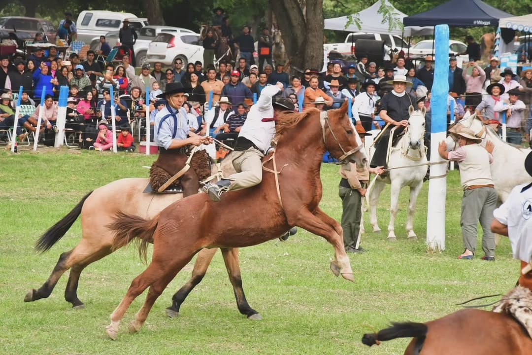 Post 3 by Alejandro Dominguez  // PH📸 on Instagram (carousel)