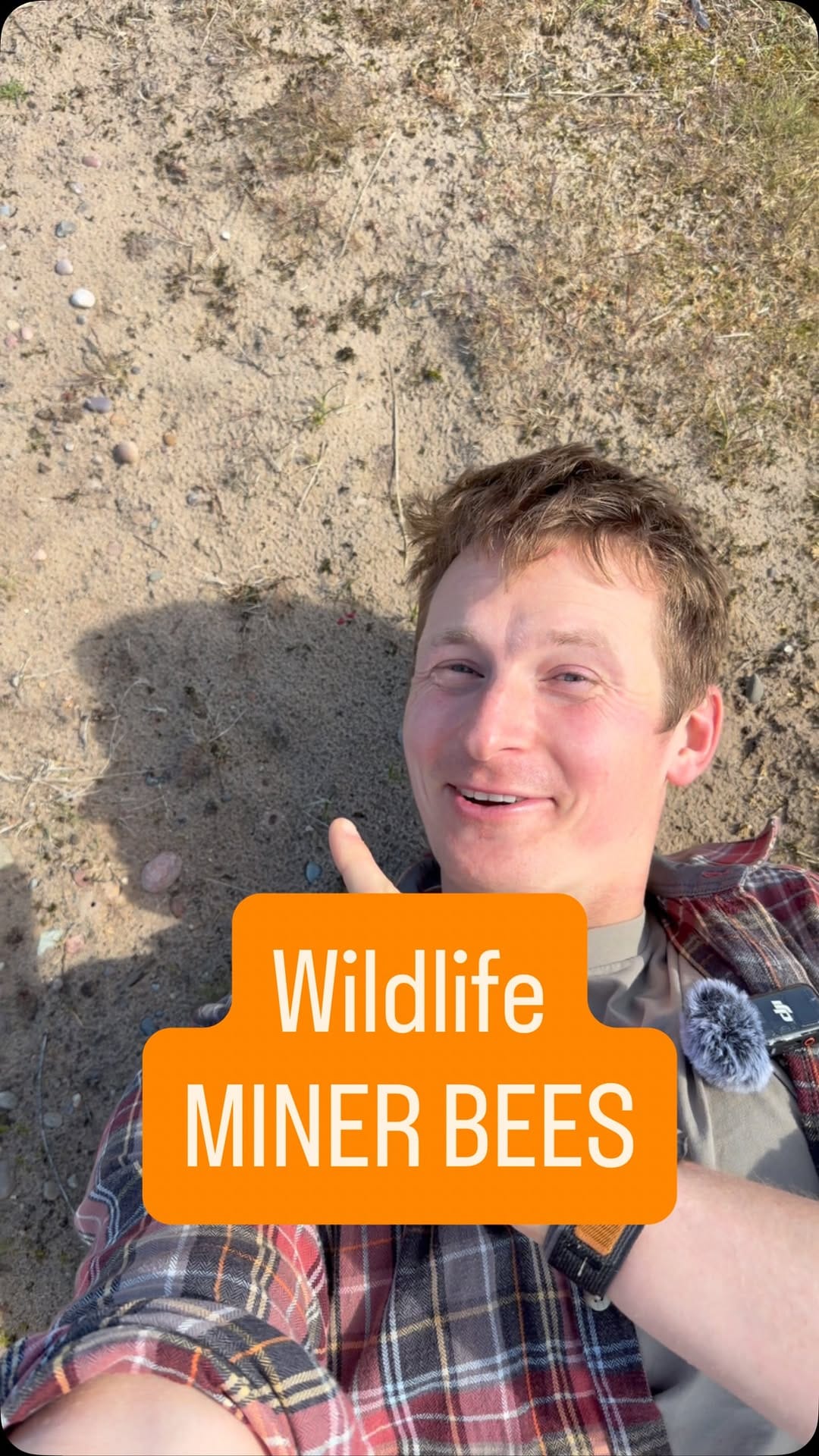 Post 5 by Will Hall Wildlife on Instagram (video)
