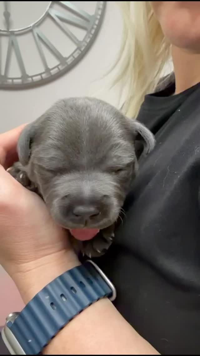 Post 4 by Stephen Fletcher on Instagram (video)