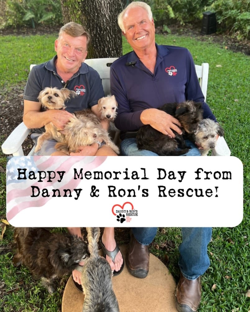 Post 1 by Danny & Ron’s Rescue on Instagram (image)