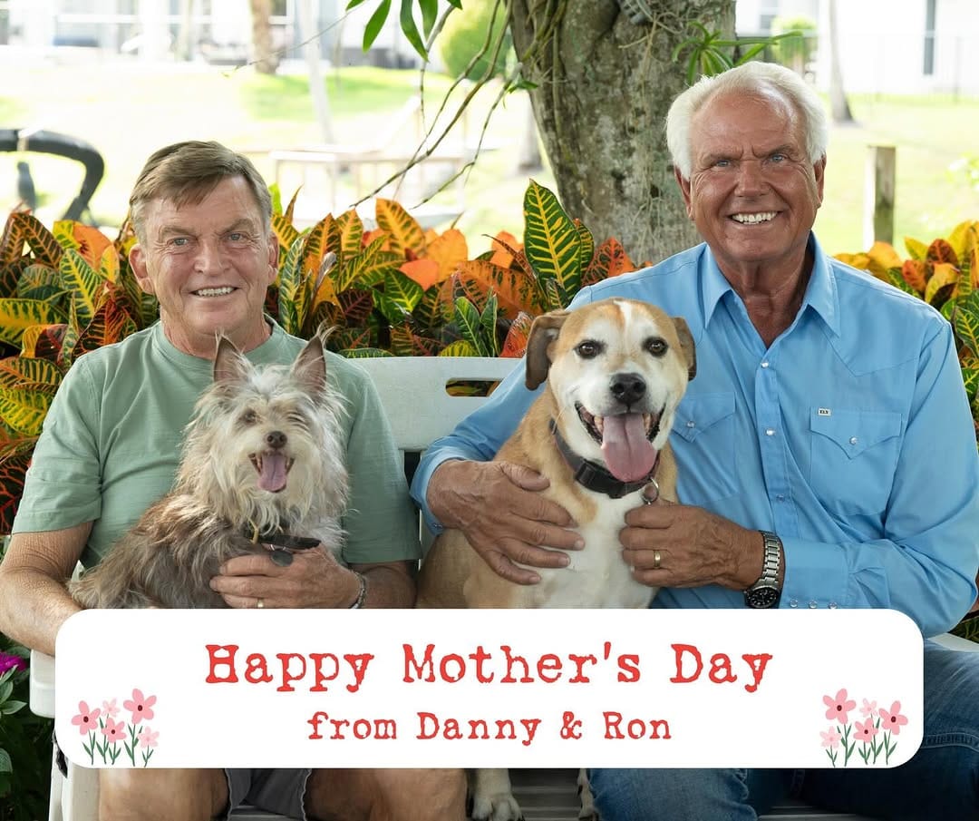 Post 6 by Danny & Ron’s Rescue on Instagram (image)