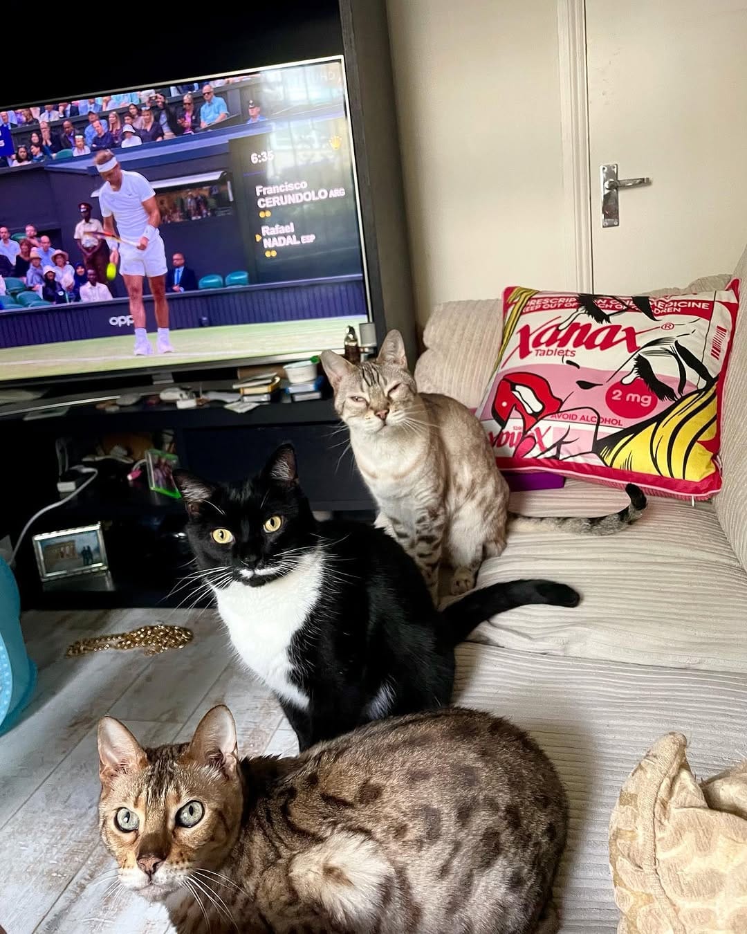 Post 10 by - Sahara Arizona Luna & Quartz on Instagram (image)