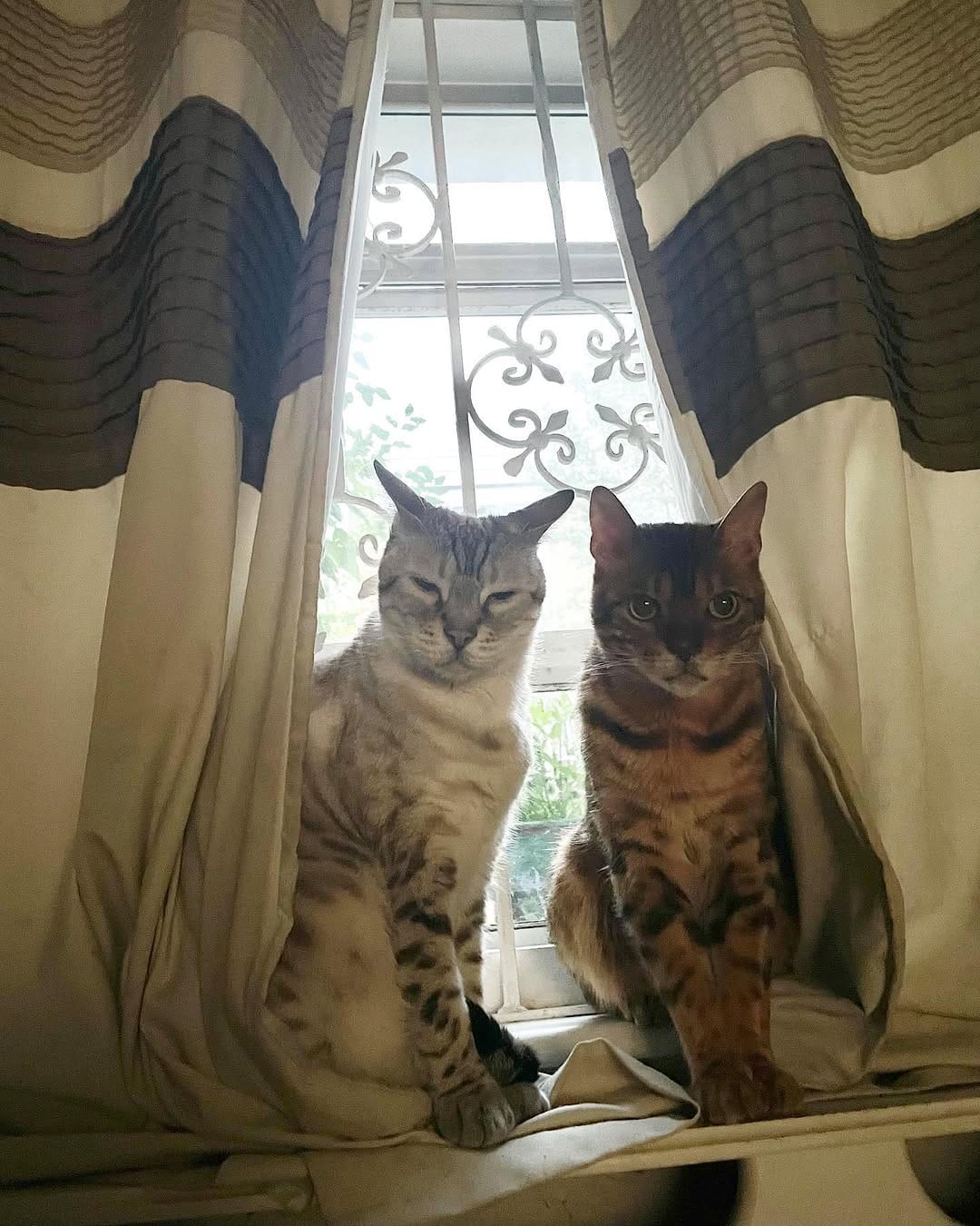 Post 8 by - Sahara Arizona Luna & Quartz on Instagram (image)